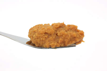 A fork full of re-fried beans on a white background.