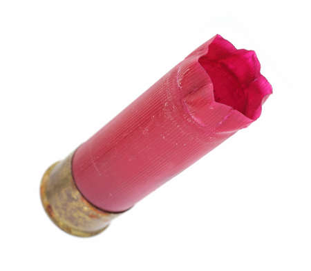 A red shotgun casing that has been used on a white background.