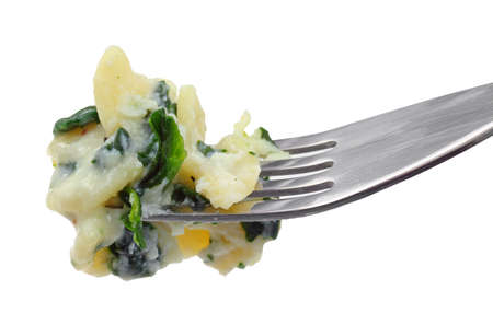 A fork filled with ricotta spinach pasta on a white background.の写真素材
