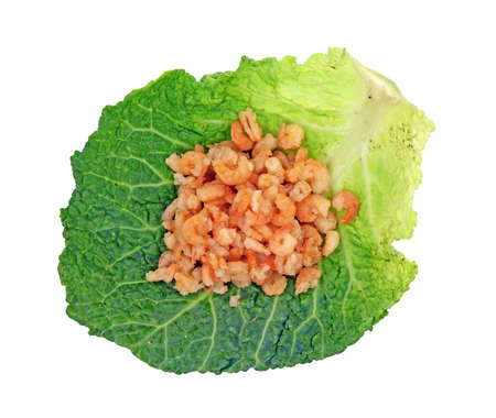 Close view of a group of cooked tiny shrimp on a green cabbage leaf. の写真素材