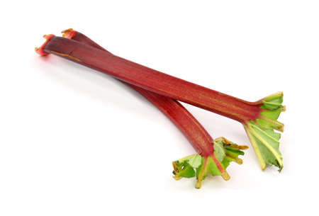 Two stalks of rhubarb with the greens cut on a white background.の写真素材