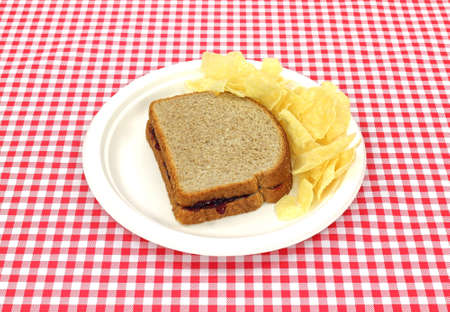 A wheat bread and grape jelly sandwich with chips on a picnic plate.の写真素材