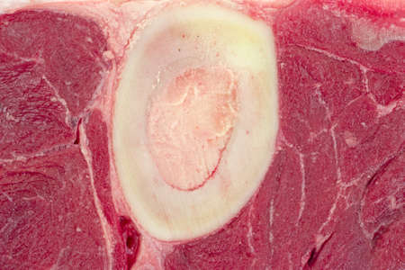 A very close view of fresh beef hind shank with bone.の写真素材