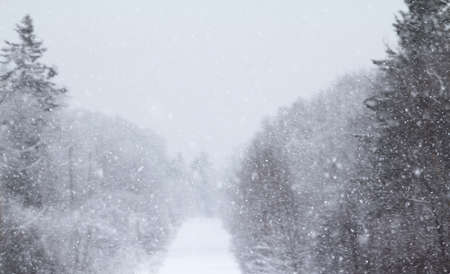View of snowfall with distant road and forest.の写真素材