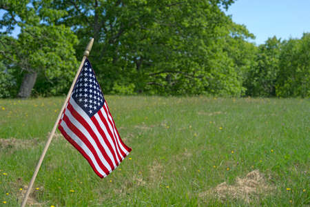 A small American flag in a meadow with forest and sky in the distance 