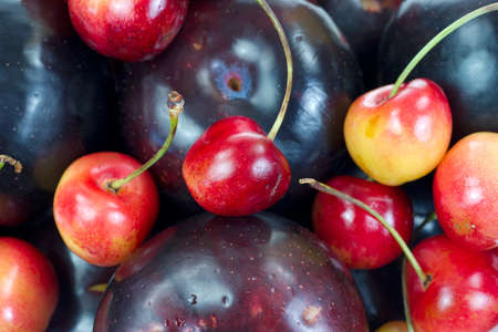 A very close view of ripe plums and cherries with stems attached の写真素材