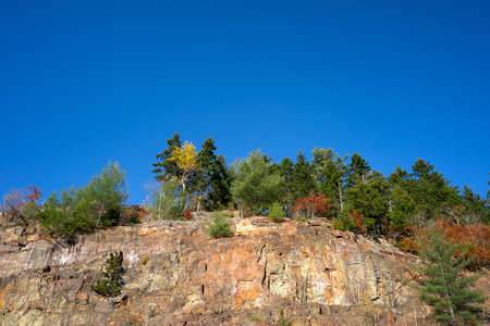A sheer rock face with trees atop the ridge line against blue sky 