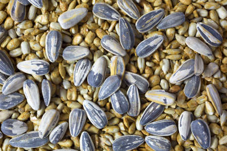 Several roasted sunflower seeds atop the kernels of sunflowers.