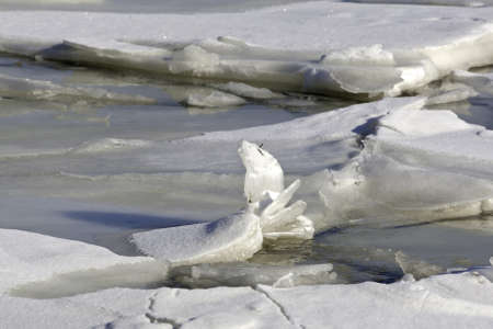 A close view of several thick ice floes that are cracking.