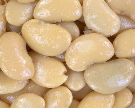 A very close view of butter beans.