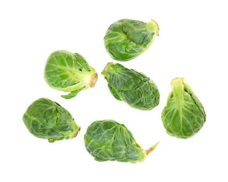 Six freshly harvested Brussels sprouts on a white background.の写真素材