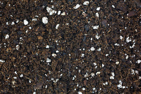 A very close view of organic potting soil.