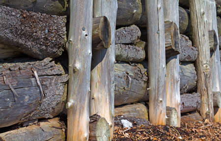 A close view of log pilings and stacked logs for coastal water erosion prevention 