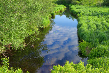 A small brook with trees and green grass on the banks and a reflection of a bright blue sky with...