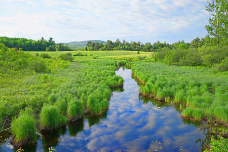 A slow moving stream flowing through the rural countryside of Maine in the summertime 