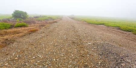 A close view of a gravel road between two blueberry fields in the mist of early morning in rural Maine.の写真素材