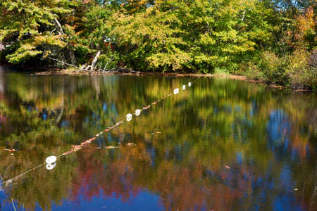 A line with buoys across a gently flowing river with fall colors reflected on the surface.の写真素材