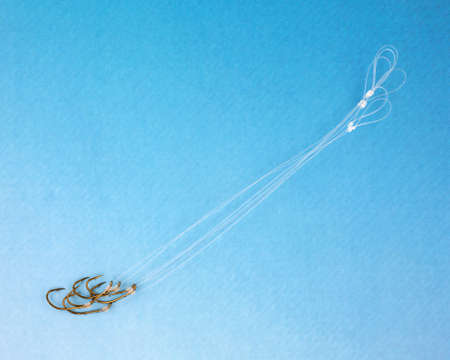 A group of small fish hooks with nylon leaders on a graduated blue background.