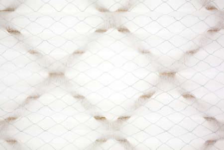 A close view of a new furnace filter showing the wire and cloth backed up against cardboard.