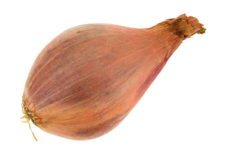 A fresh shallot isolated on a white background.の写真素材