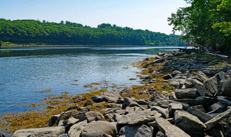 View of the Passagassawakeag River as it flows into its estuary in Belfast Maine with coastline in the foreground.の写真素材