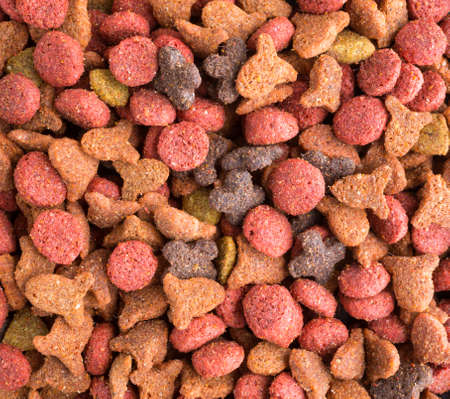 A very close view of generic dry cat food.の写真素材