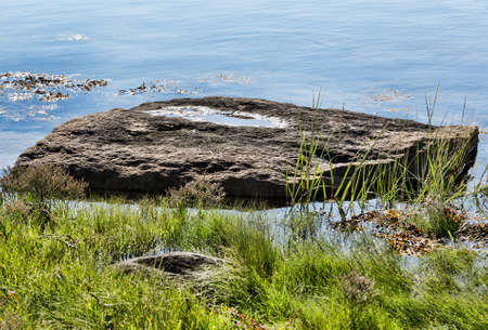 A large boulder in tidal water with a small pool on the top and green grass in the foreground.の写真素材