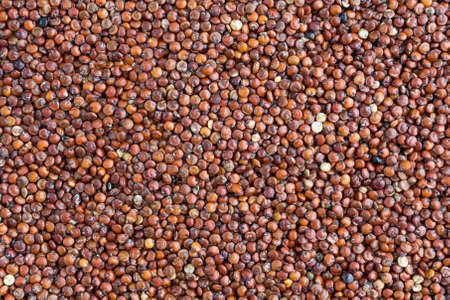 A very close view of organic red quinoa.の写真素材