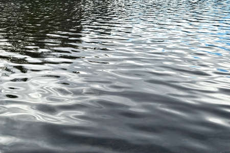 The surface of a pond with rippling gentle waves and reflections of trees and blue sky.