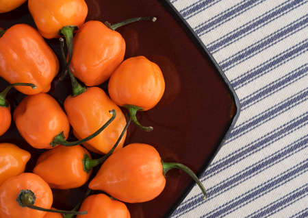 Top close view of a dish of orange habanero peppers on a striped table cloth.の写真素材