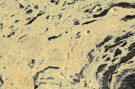 Pollen and scum floating on the surface of salt water.の写真素材