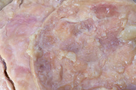 Close view of slices of turkey in a gravy sauce.の写真素材