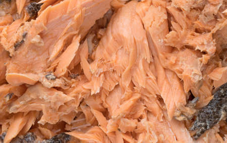 Close view of Pacific canned pink salmon.の写真素材