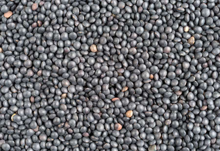 A very close view of black beluga lentils.の写真素材