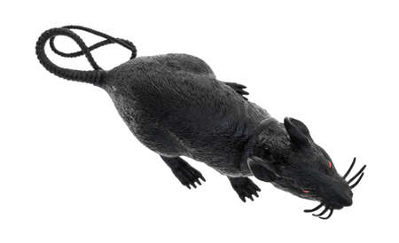 Top view of a black plastic toy rat with red eyes isolated on a white background.の写真素材