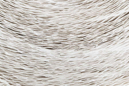 A very close view of the end of a roll of paper towels.の写真素材