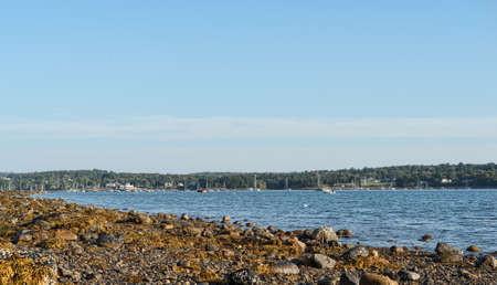 Distant view of the boats moored at Belfast, Maine at low tide with seaweed covered rocks in the foreground.の写真素材