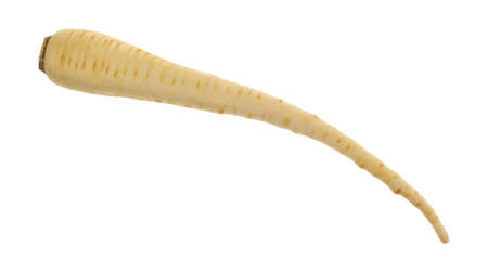 Top view of a single parsnip isolated on a white background.の写真素材