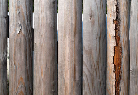 Several rows of cedar hewn log fencing worn and peeling with weathering.の写真素材