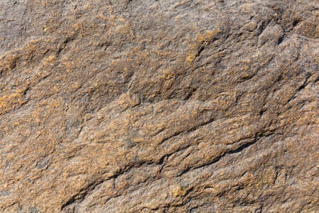 Close view of the rough surface of a large boulder in the morning light.の写真素材