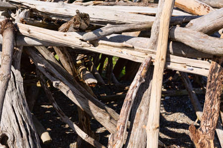 Driftwood sticks arranged in a haphazard way on a beach in Maine.