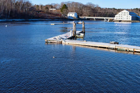 A lone duck swimming near floating docks on a cold December day in Maine.