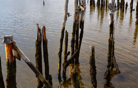 The remains of a pier at low tide at Wiscasset Maine in the late fall.の写真素材