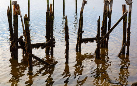 The remains of a pier at low tide at Wiscasset Maine in the late fall.の写真素材