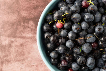 Top close view of a bowl of freshly picked wild blueberries on a maroon background illuminated with...