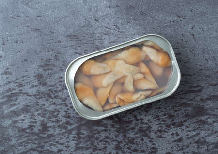 Top view of an open tin of razor clams in water on a gray table illuminated with natural lighting.の写真素材