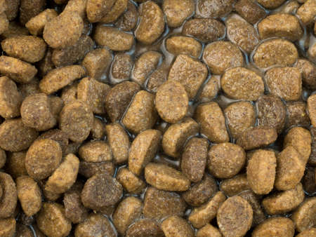 Overhead close view of dry dog food with water added.