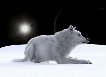 3d illustration of a wolf resting on snow on an alien world with eclipsing planet and moons with a...