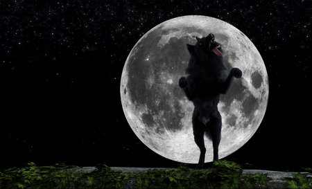 3d illustration of a black wolf on hind legs with tongue out in front of a rising full moon.の写真素材