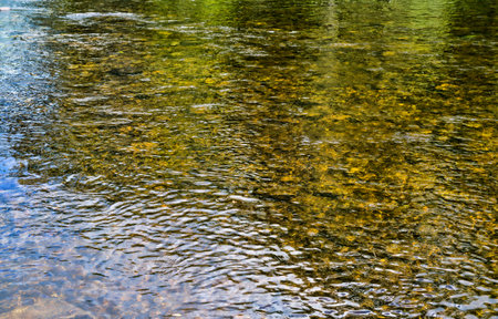 Shallow water with rocks and reflection in a river.の写真素材